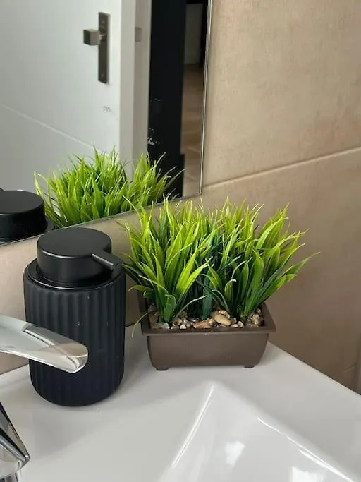 Apartamento Centrico Y Acogedor Eva Santa Cruz de Tenerife Spain
